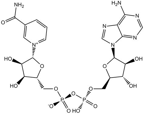 APExBIO - NAD+