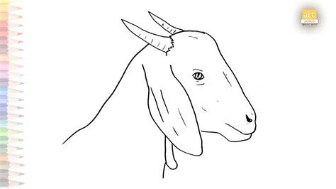 Drawing Goat Face