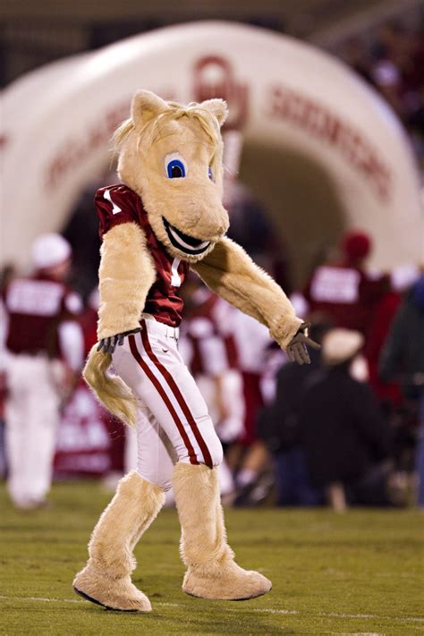 Oklahoma Sooners football once had a live canine mascot