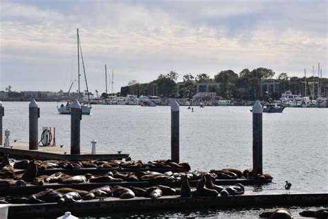 Marina del Rey Boating Guide | Boatsetter