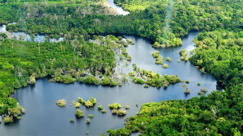 Five steps to saving Brazil's Amazon rainforest