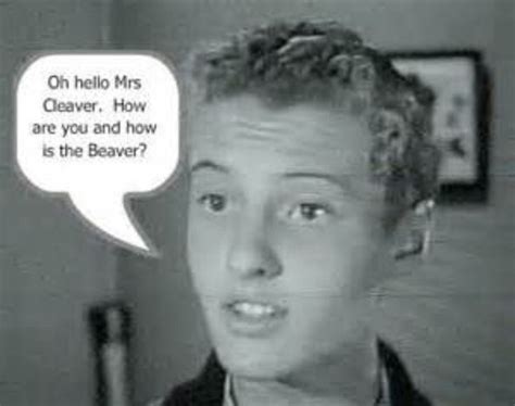 Eddie Haskell | Leave it to beaver, Beaver quotes, Book humor