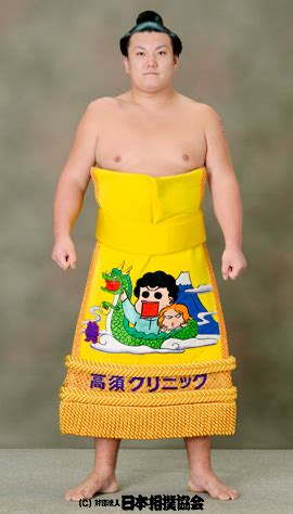 Cool Sumo Kesho-Mawashi Designs! – JapanSauce.Net