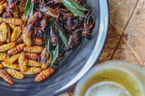 Edible Insects Stock Photos, Images and Backgrounds for Free Download