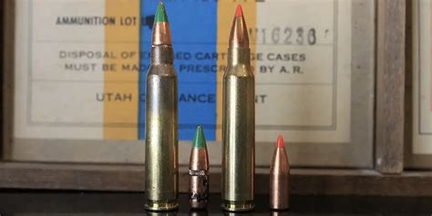 223 vs 5.56: Which One You Should Shoot In Your AR-15?