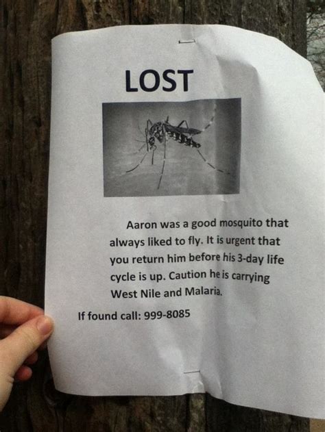 21 Funny Lost & Found Signs | Lost & found, Funny signs, Funny