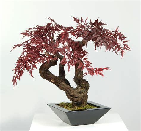 Artificial red maple bonsai tree ideal for table decor for offices ...