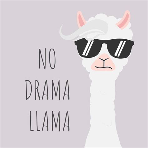 Download Cute No Drama Llama Wallpaper | Wallpapers.com