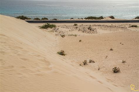 Corralejo Sand Dunes Natural Park (Fuerteventura) - Guide + Photos