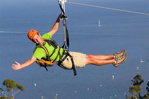 Catalina Island Day Trip From LAX Area Hotels With Zipline Adventure ...