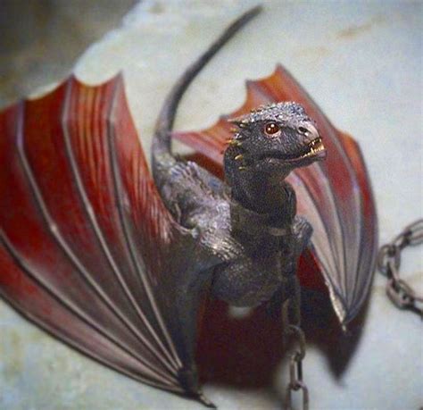 House of the Dragon ♡ on Instagram: “Baby Drogon 🐲” | Drogon game of thrones, Dragon games, Game ...