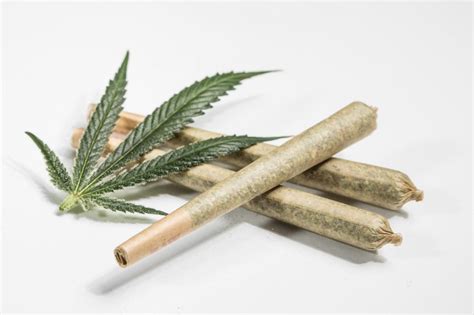 Hemp or CBD pre-Rolls: What are the Benefits? - Pinnacle Marketing