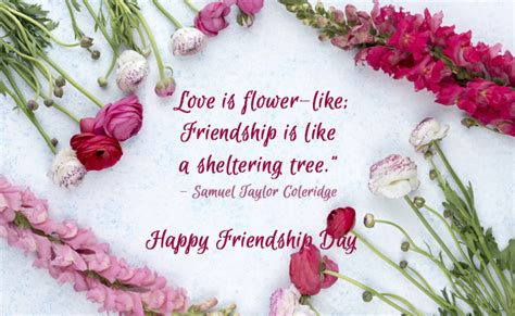 Friendship Day 2018: 10 Quotes On Friendship To Make Your Friends Smile