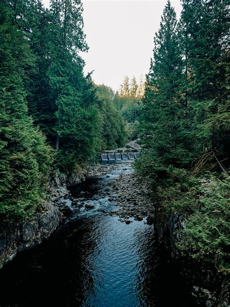 21 Best Hikes in Vancouver - Can't Miss Vancouver Hiking Trails