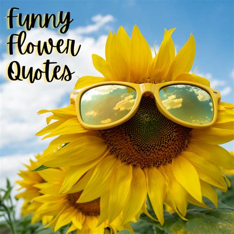 Funny Flower Quotes and Sayings - Holidappy