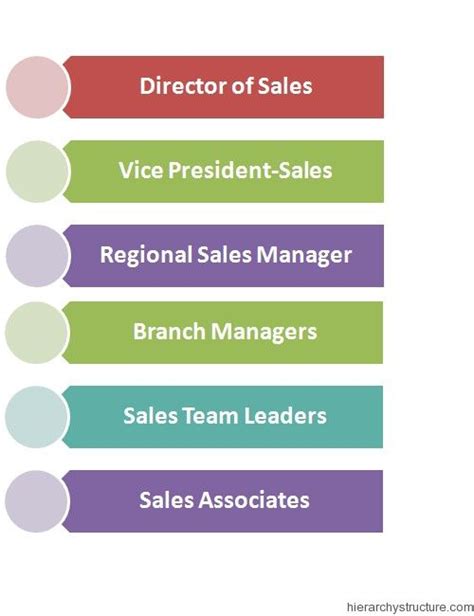 Sales Management Hierarchy | Sales and marketing, Best teamwork quotes ...