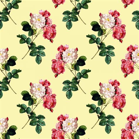 Roses Vintage Wallpaper Background Free Stock Photo - Public Domain Pictures