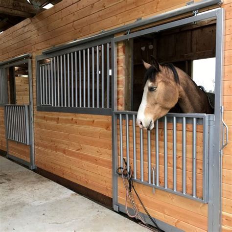 Drop Down Steel Horse Stall Door – Barn Pros | Barn Pros