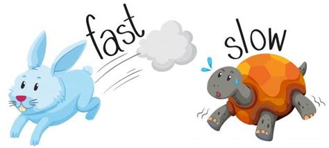 Rabbit runs fast and turtle runs slow | Free Vector #Freepik # ...