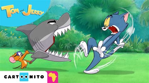 Dangerous Fishing | Tom & Jerry #NEW Cartoon | Cartoonito Africa - YouTube