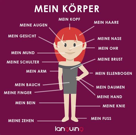 German body parts and illnesses, German Calendar, German Colors and numbers 0-20 Diagram | Quizlet