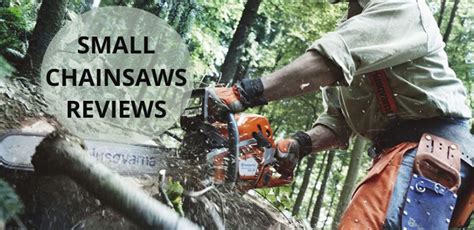 10 Best Small Chainsaws Reviews & Buyer's Guide