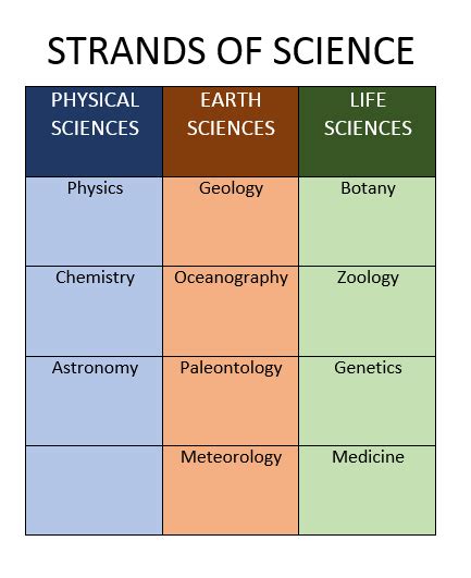 Different Branches of science: List, meanings | It Lesson Education