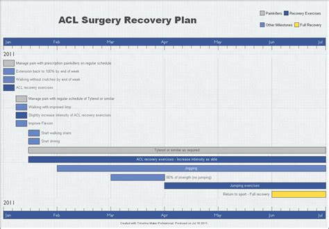 Medical recovery timeline created with Timeline Maker Pro.