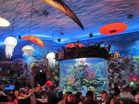 Aquarium at T-Rex Restaurant in Downtown Disney Breaks | CFLAS