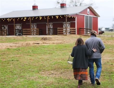 What is a Homesteader? - Roots and Refuge