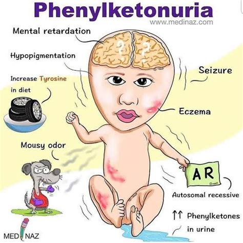 Phenylketonuria - MEDizzy