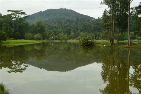 Musella: KEPONG BOTANICAL GARDEN - An Introduction