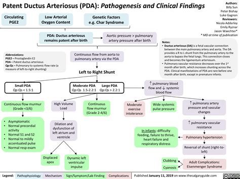 Patent Ductus Arteriosus (PDA): Pathogenesis and Clinical Findings ...