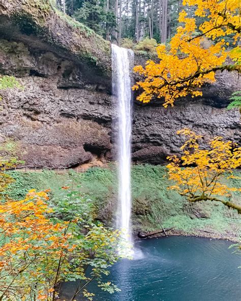 Beautiful Fall Colors at Silver Falls State Park in Oregon