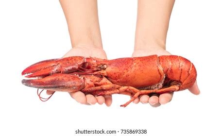 Lobster Arm: Over 370 Royalty-Free Licensable Stock Photos | Shutterstock