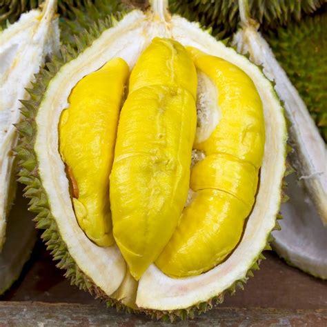 What Does Durian Taste Like ? Figuring Out The Smelliest Fruit - Foodiosity