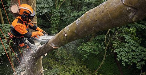 Introducing our most powerful top-handle battery chainsaw: The MSA 220 T - STIHL Blog