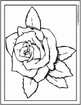 73  Rose Coloring Pages Customize PDF Printables sketch template