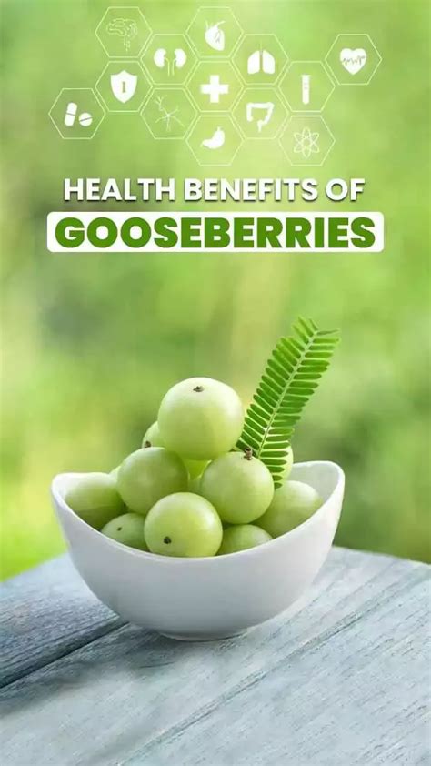 Best 5 Health Benefits of Gooseberry: Benefits Of Amla