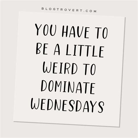 80+ Funny Wednesday Quotes To Get You Through The Hump Day