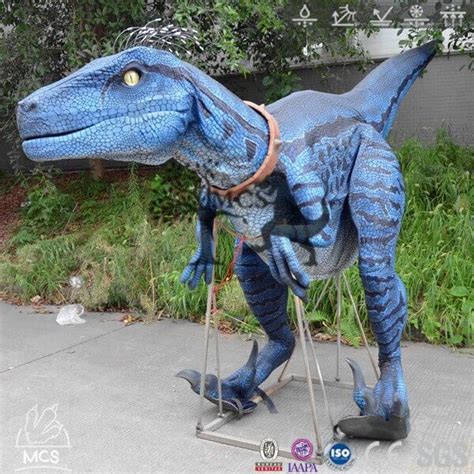 Exclusive Raptor Blue Costume With Bristles Feathers-DCRP717 — Mcsdinosaur Stilt Costume, T Rex ...