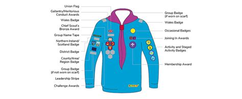 Beaver Badges - 1st Twyford Scouts