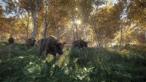 theHunter: Call of the Wild™ on Steam