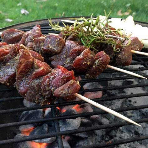 Elk Backstrap Skewers | Wild Game Cuisine - NevadaFoodies