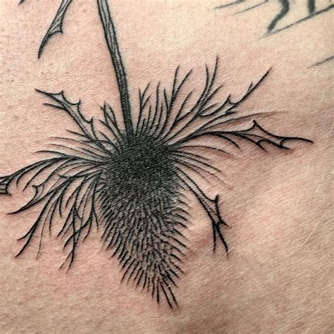 101 Amazing Thistle Tattoo Ideas You Need To See! | Outsons | Men's ...