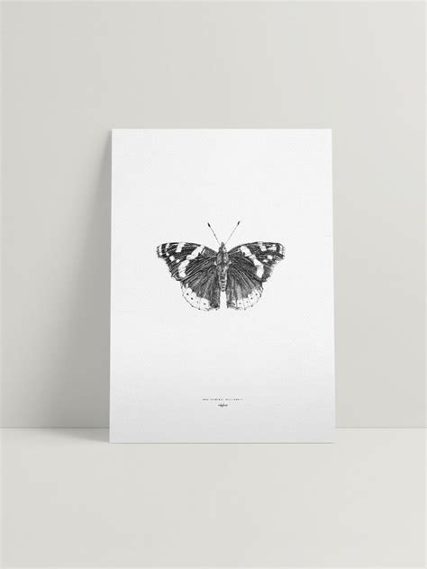 Red Admiral Butterfly Tattoo • Arm Tattoo Sites