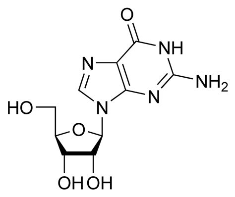 Guanosine | Psychology Wiki | Fandom