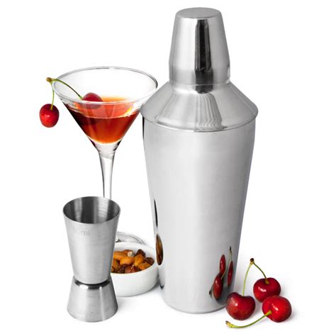 Manhattan Martini Cocktail Shaker Set | Make Your Own Cocktails