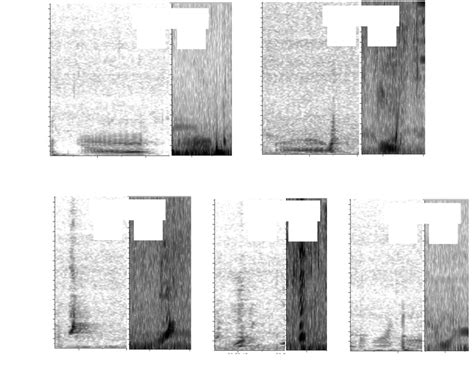 Spectrograms examples (Hann window, 8192 (NL) and 32,768 (HI) Discrete ...