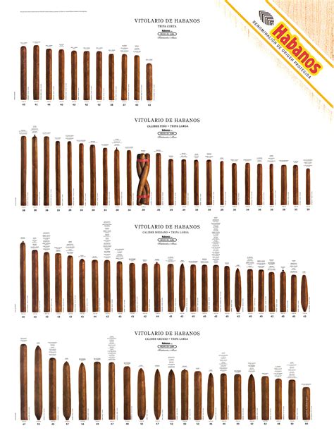 Buy Habanos Cuban Cigar Size Guide (4 Rows) 48"x 36" Liited Edition (Cigar Size Chart ) Large ...